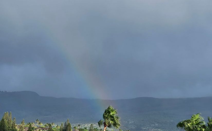 Beyond the Resume: Seeking Independence and&nbsp;Fulfillment